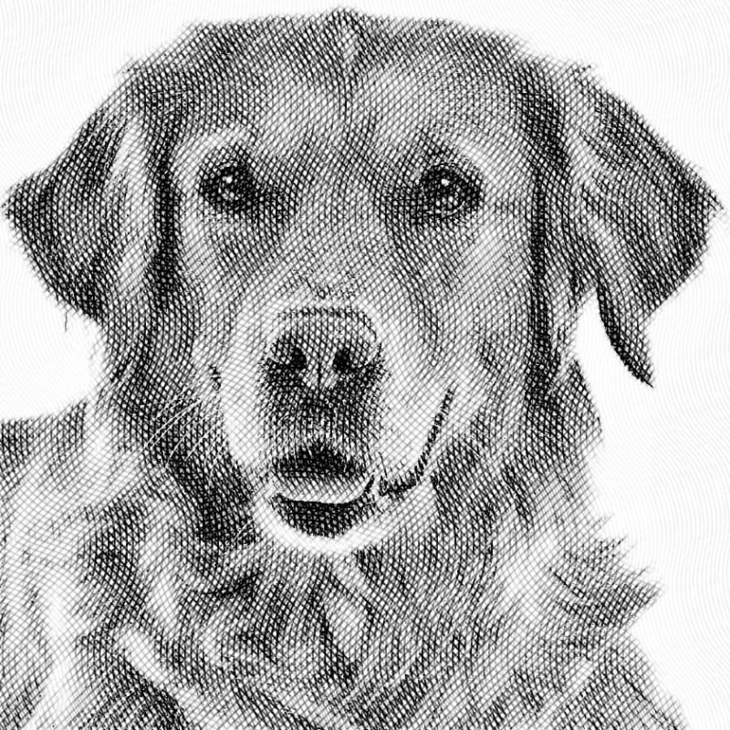 Naszyjnik ze zdjęciem twojego zwierzątka na  zawieszce kolor srebrny